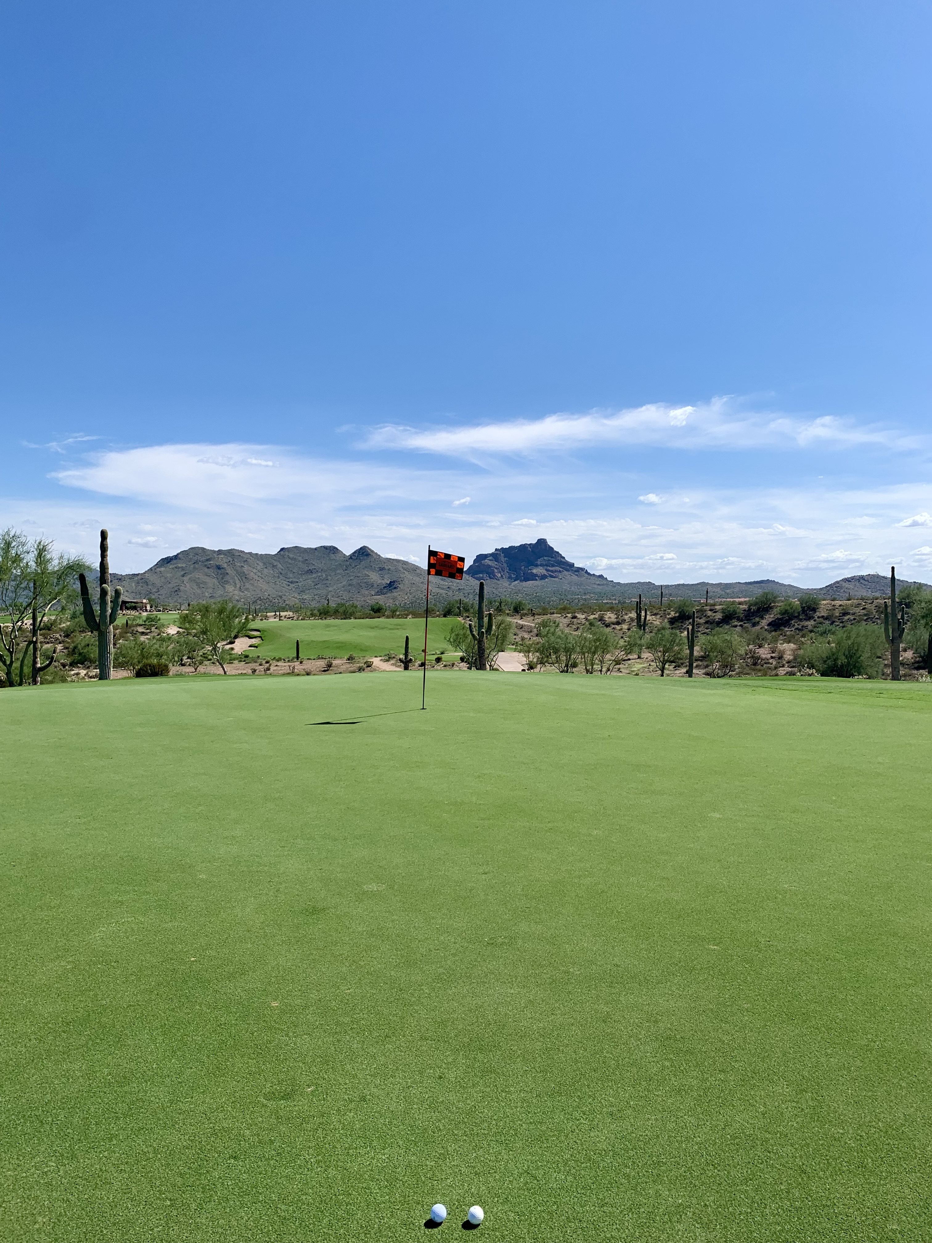 We-Ko-Pa Saguaro Hole 16