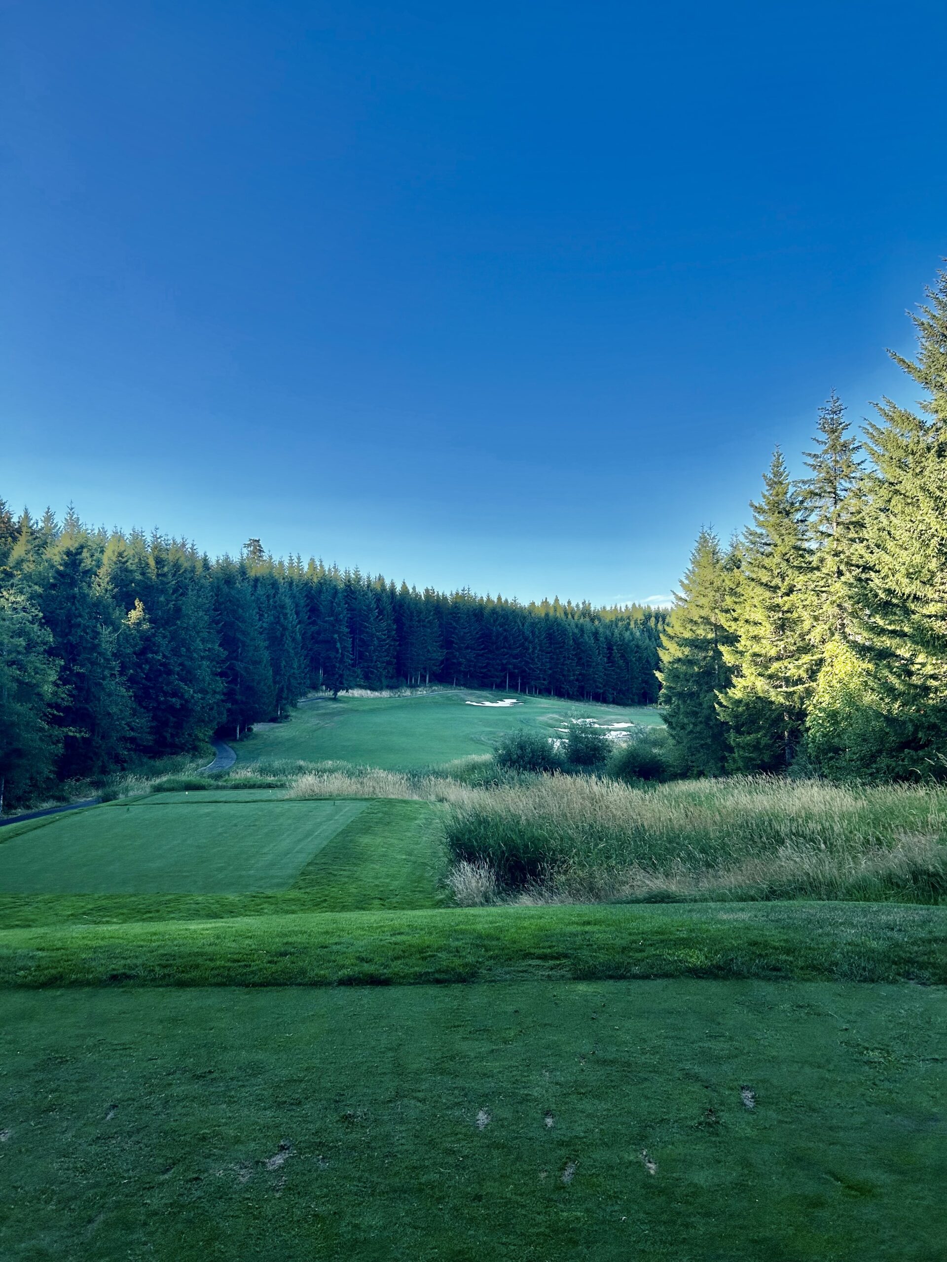 Salish Cliffs Golf Course 