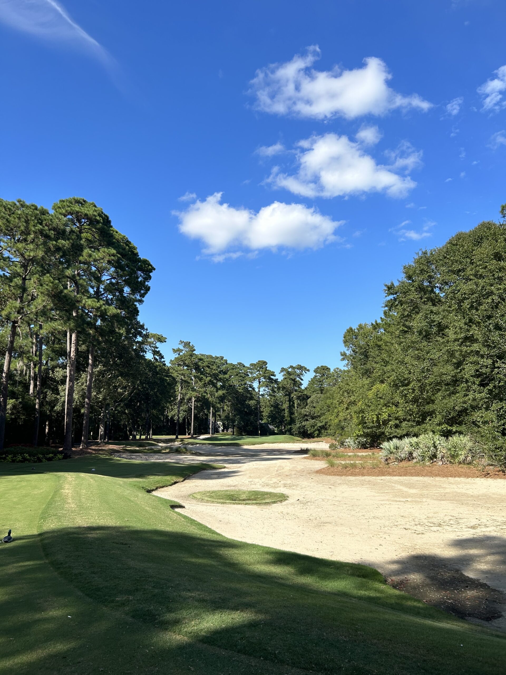 Caledonia Golf and Fish Club Hole 3