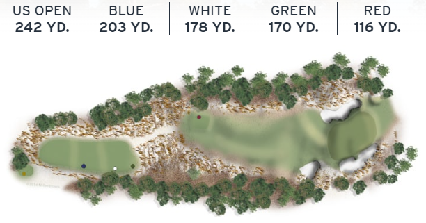 Layout of Pinehurst No. 2's 6th hole, a long par 3 with an elevated green and deep bunker.