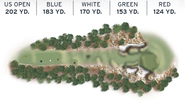 Layout of Pinehurst No. 2's 15th hole, a long par 3 with a narrow green and strategic bunker placement.