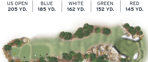 Layout of Pinehurst No. 2's 17th hole, a par 3 with a large green and a sharp drop at the front, featuring historical significance.